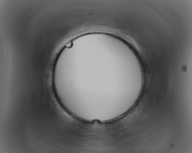 X0000101121504200807171947