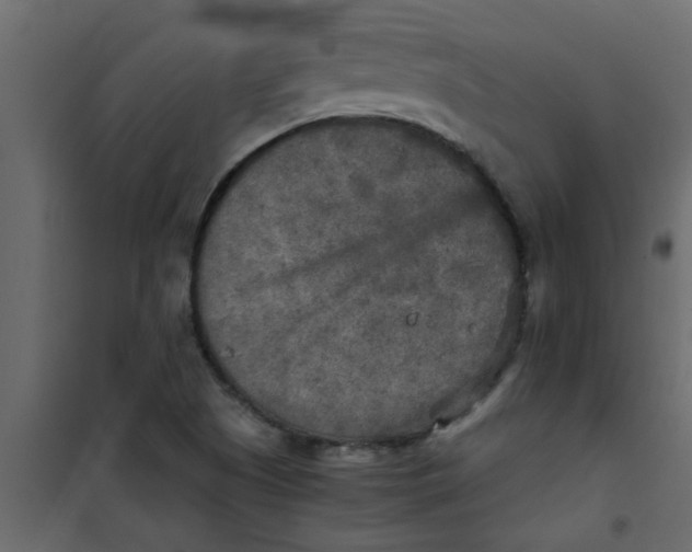X0000101121505200807171947