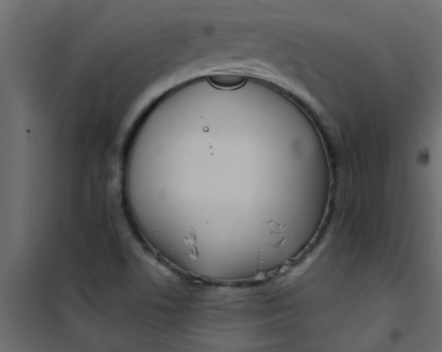 X0000101121506200807171947