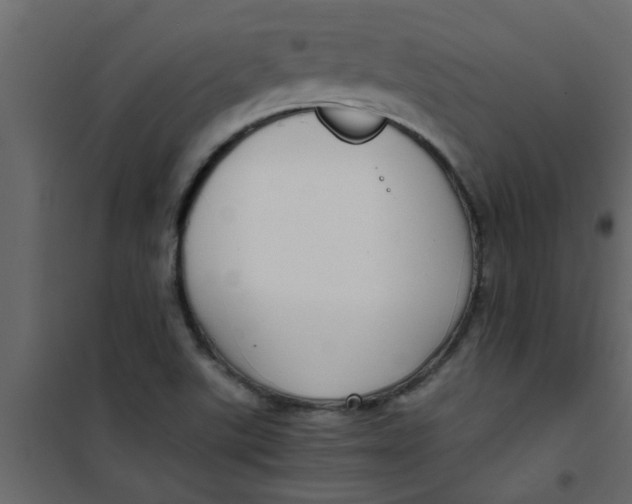 X0000101121507200807171947