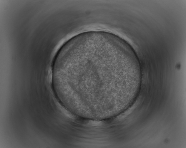 X0000101121509200807171947