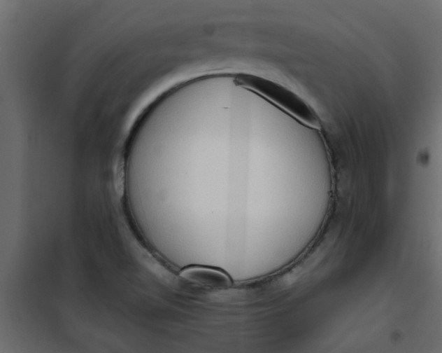 X0000101121510200807171947