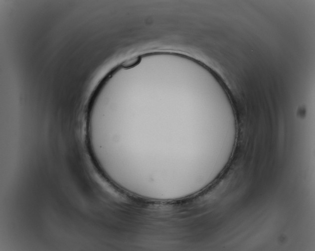 X0000101121511200807171947