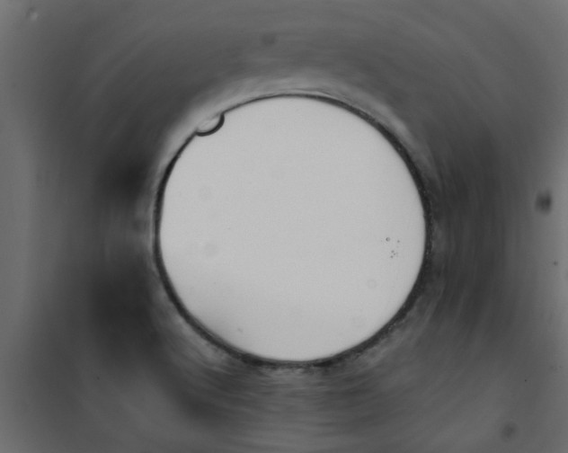 X0000101121512200807171948
