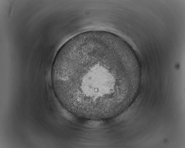 X0000101121513200807171948