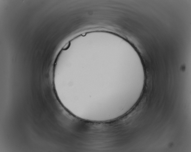 X0000101121516200807171948