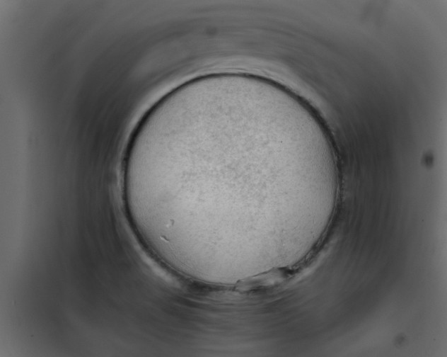 X0000101121517200807171948