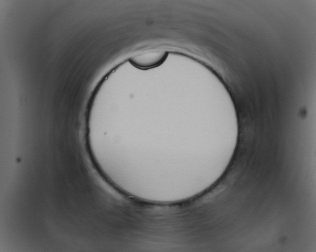 X0000101121518200807171948