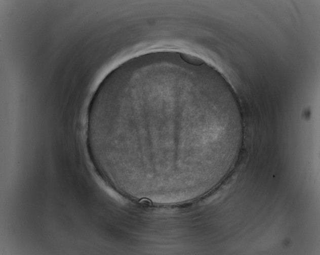 X0000101121519200807171948