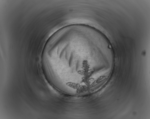 X0000101121521200807171948