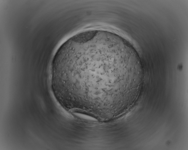 X0000101121522200807171948
