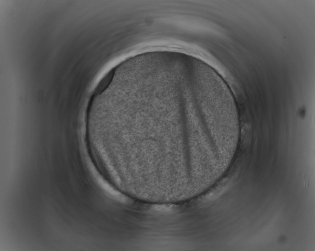 X0000101121523200807171948