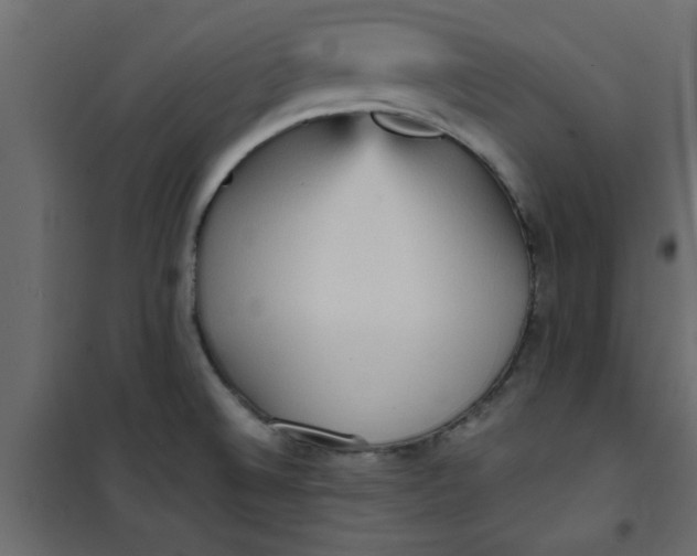 X0000101121524200807171948