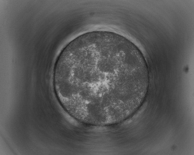 X0000101121525200807171948