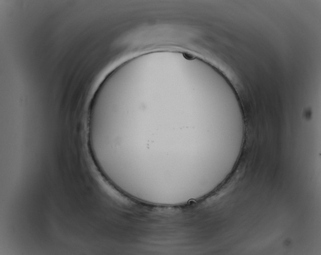 X0000101121526200807171948