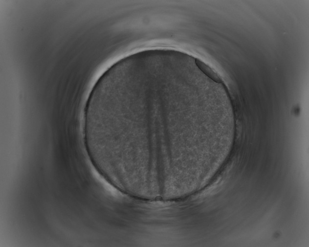 X0000101121527200807171948