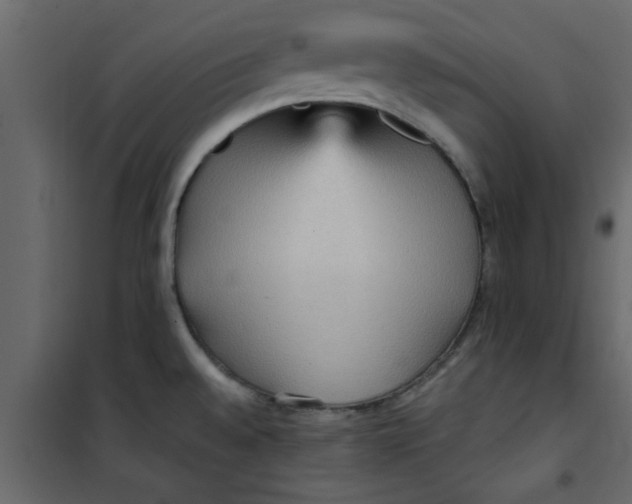X0000101121528200807171948