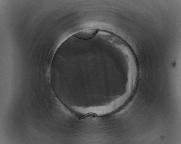 X0000101121529200807171948