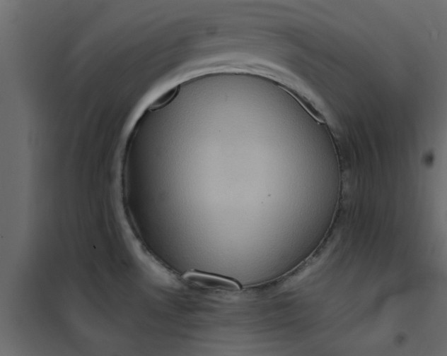 X0000101121530200807171948
