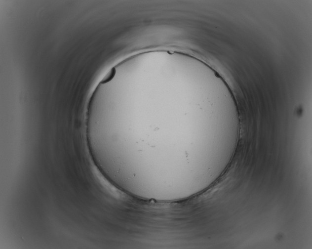 X0000101121532200807171948