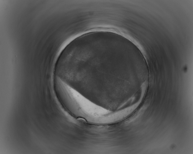 X0000101121533200807171948