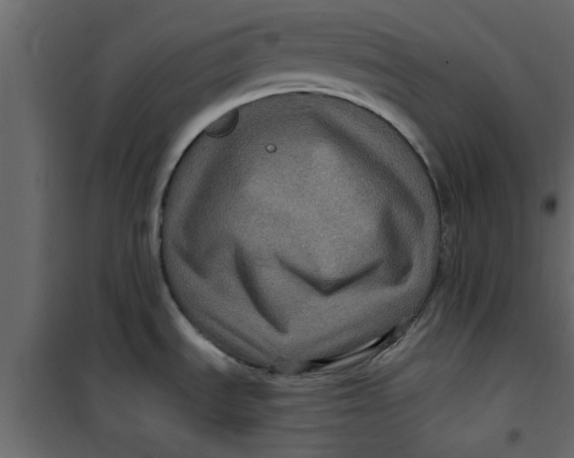 X0000101121535200807171948