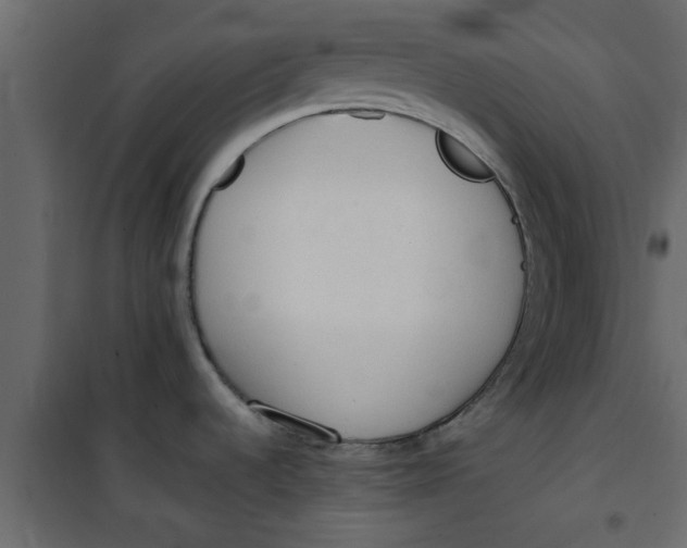 X0000101121536200807171948