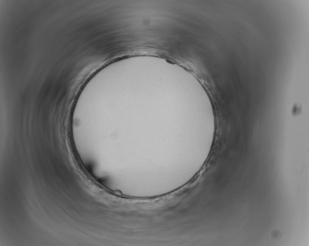 X0000101120001200807241210