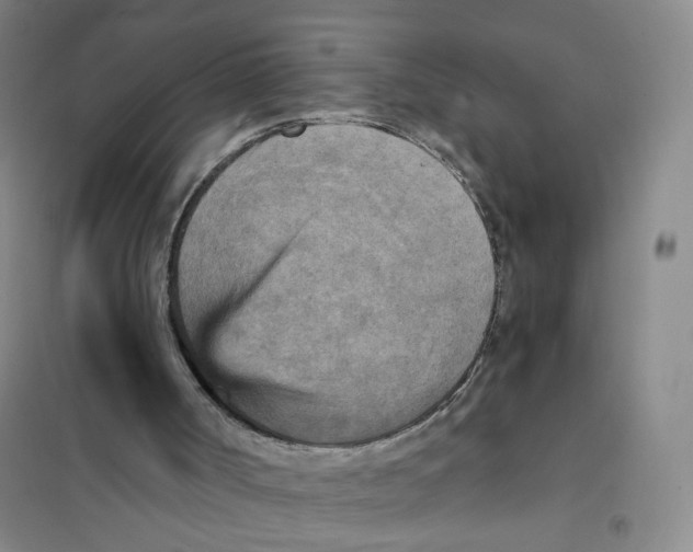X0000101120002200807241210
