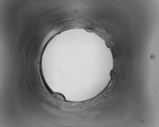 X0000101120003200807241210