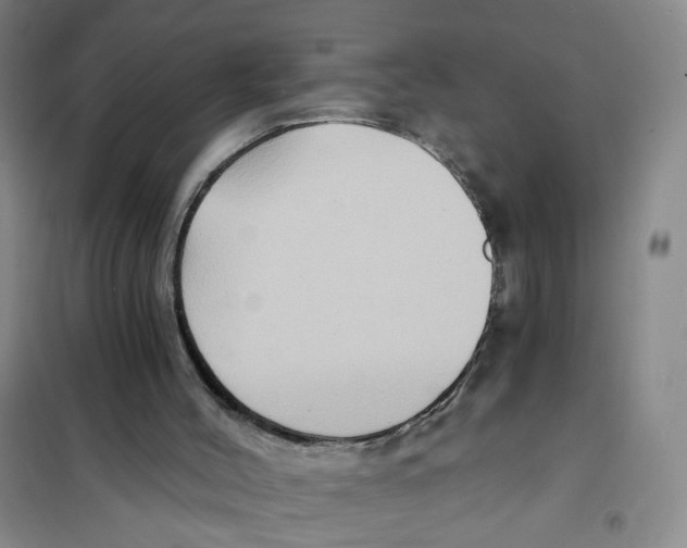 X0000101120004200807241210