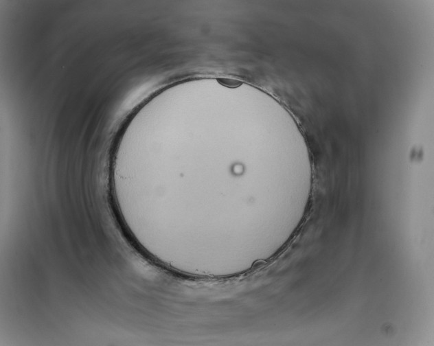 X0000101120005200807241210