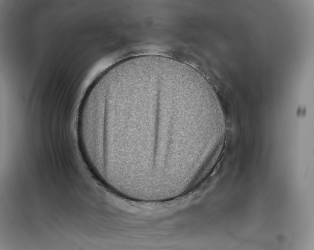 X0000101120006200807241210