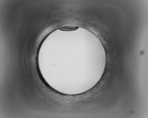 X0000101120007200807241210