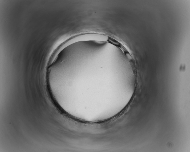 X0000101120008200807241210