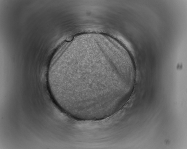 X0000101120009200807241210