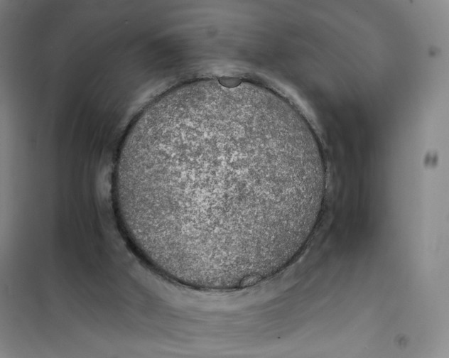 X0000101120010200807241210