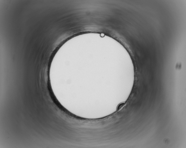 X0000101120011200807241210