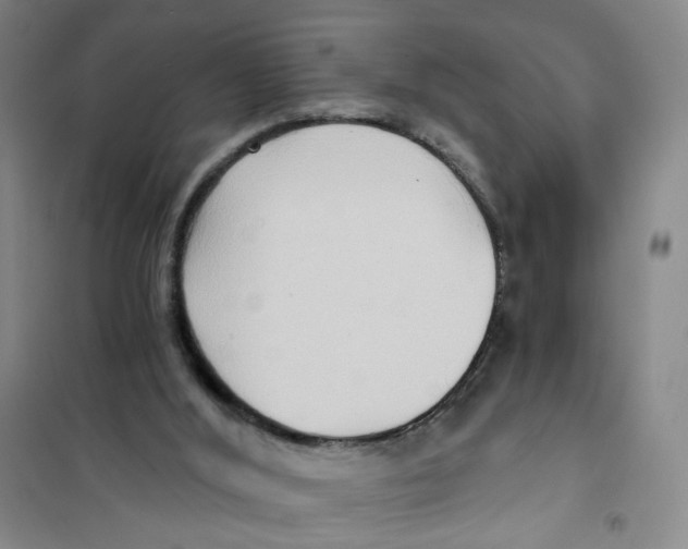 X0000101120012200807241210