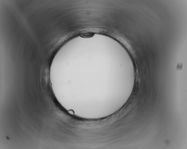 X0000101120013200807241210
