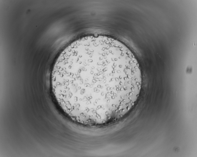 X0000101120014200807241210