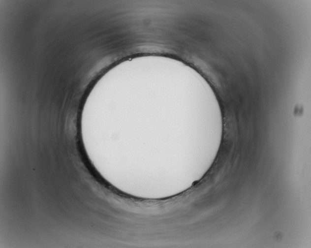X0000101120015200807241210