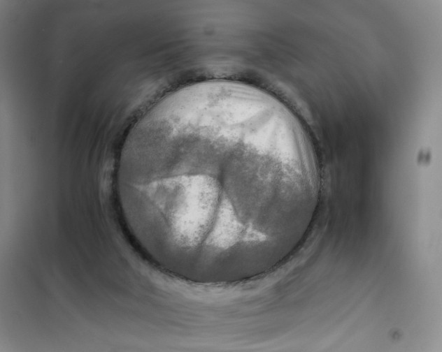 X0000101120018200807241210