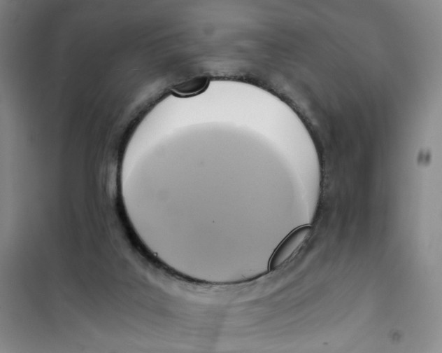X0000101120019200807241210