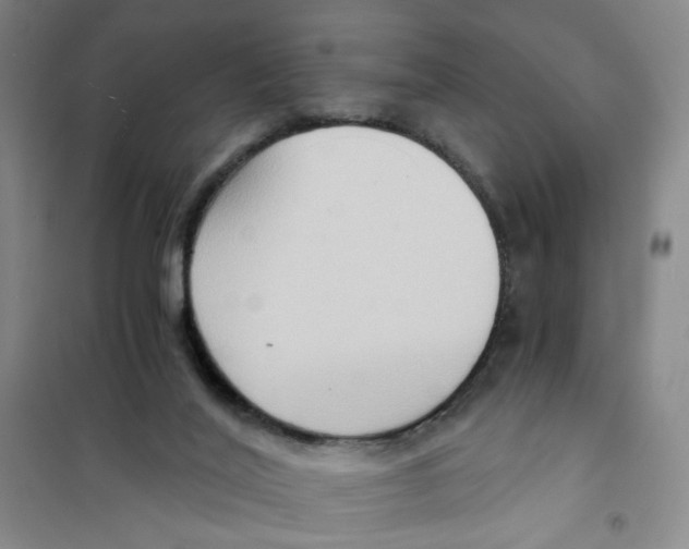 X0000101120020200807241210