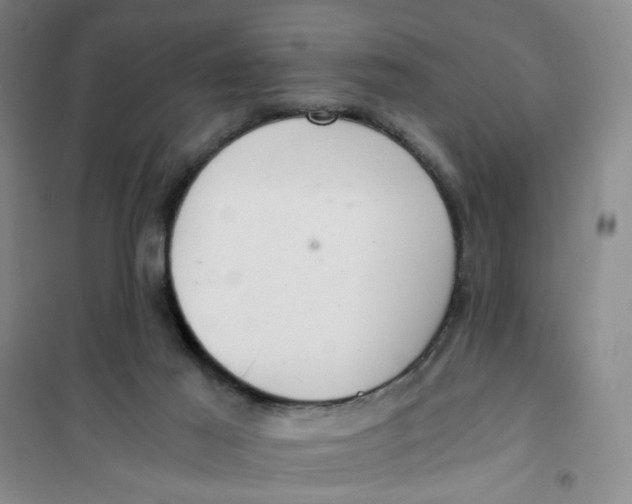 X0000101120021200807241210