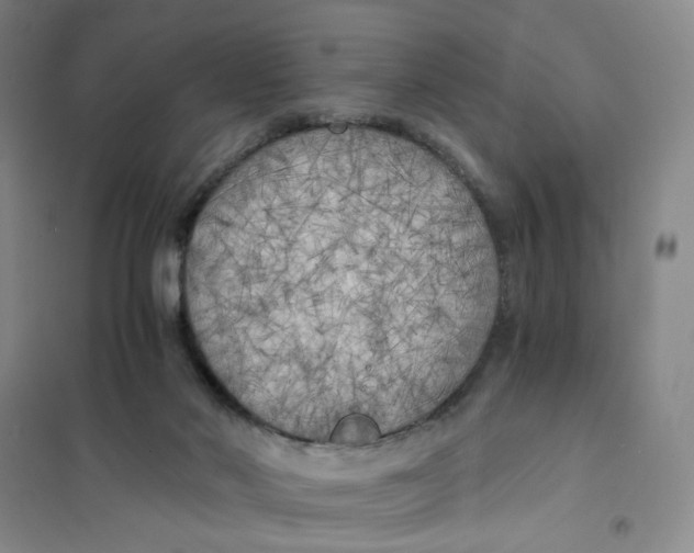 X0000101120022200807241210