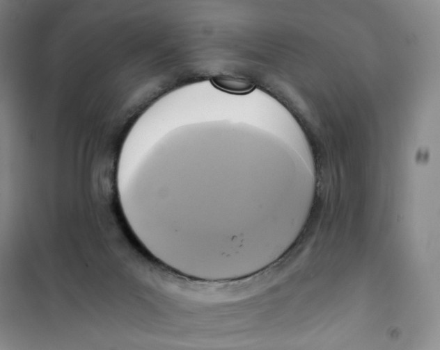X0000101120023200807241210