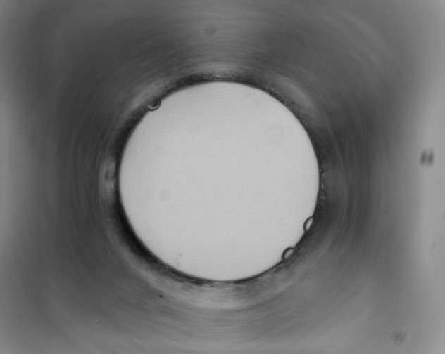 X0000101120024200807241210