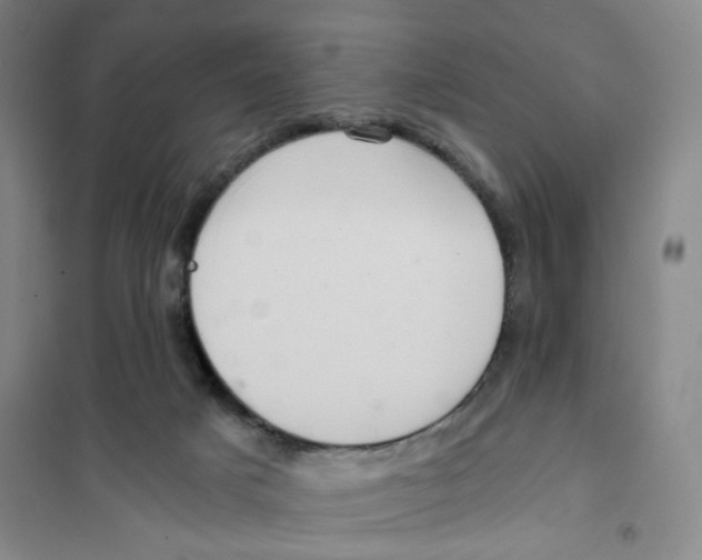 X0000101120025200807241210